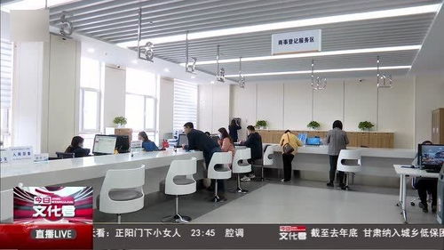 互聯網政務服務賦能藥品監管 構建高效透明的互聯網信息服務新模式